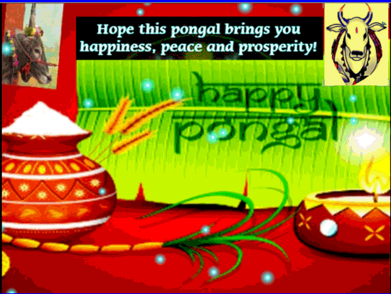 rejoice it is pongal free pongal ecards greeting cards