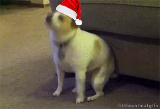 santa hat dancing gif find share on giphy