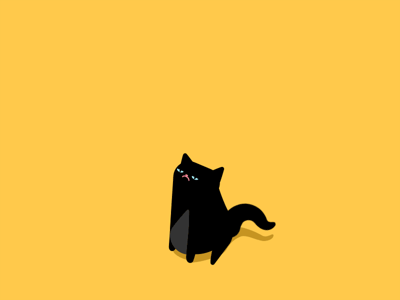 scared cat funny cartoon faces scared cat cat gif