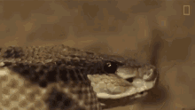 scary gifs tenor