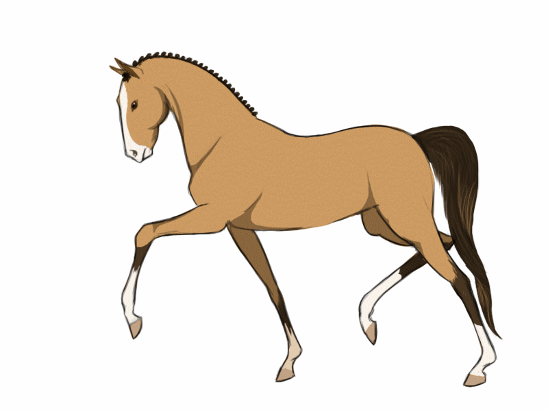 scratch studio horses