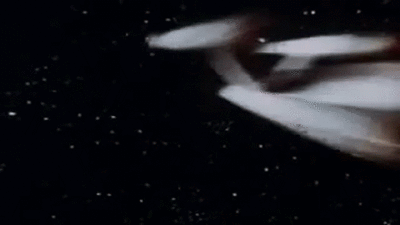 season episodes star trek the original series