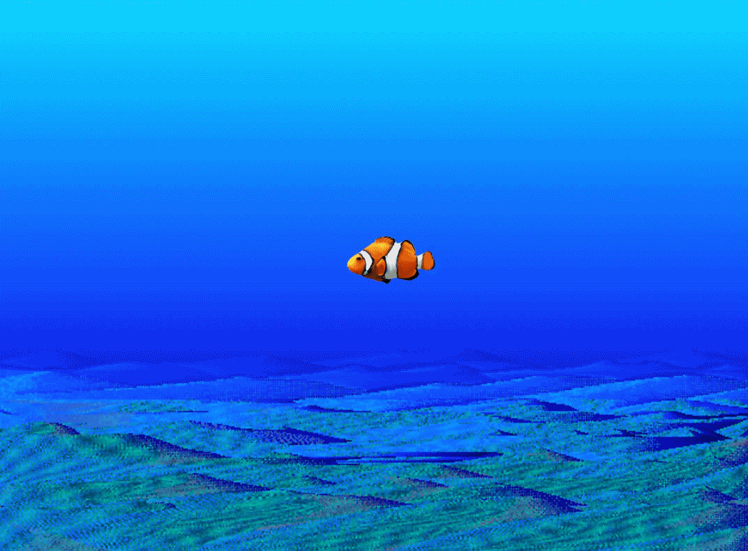 shark attack eye can learn
