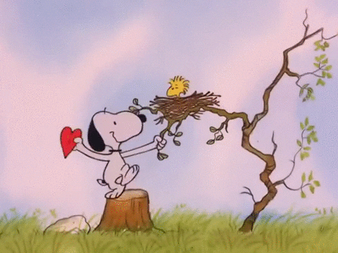 snoopy valentines day gifs find share on giphy