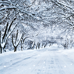 snow falling gifs find share on giphy