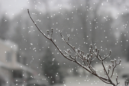 snow gifs find share on giphy