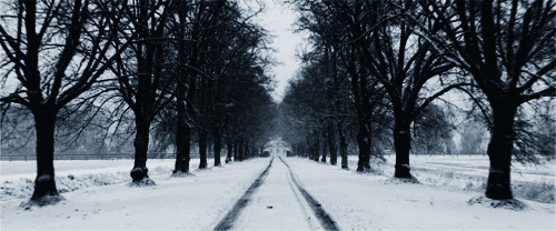 snow winter gif find share on giphy