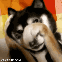 sorry animated gif