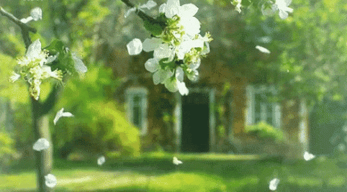 spring gif gif images download
