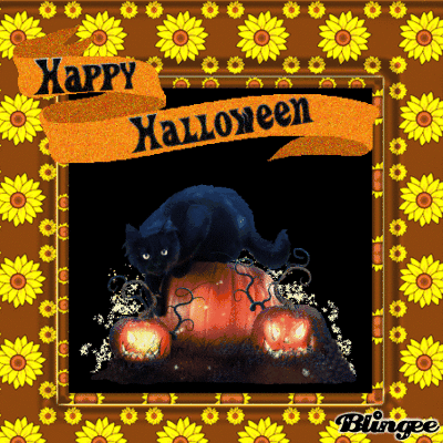 sunflower black cat happy halloween gif pictures photos