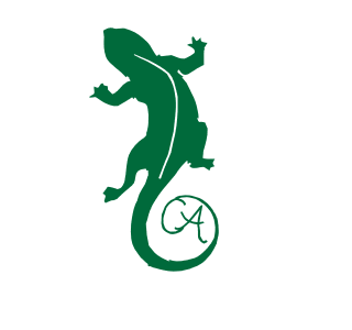 the chameleon concord academy s mascot