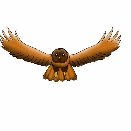 the owl went oo jordan reading lesson