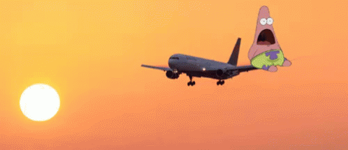 the popular airplane gifs everyone s sharing