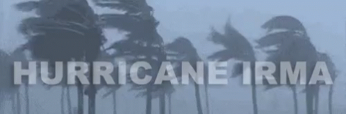 the popular hurricane irma gifs everyone s sharing