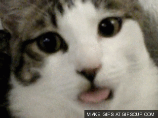 tongue gif find share on giphy