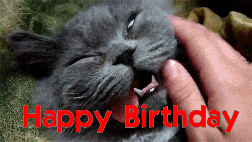 top birthday memes and funny birthday images goluputtar