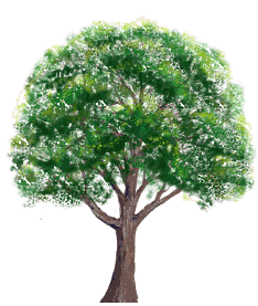 tree gif gif images download