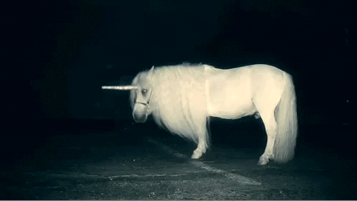 unicorn animated gif