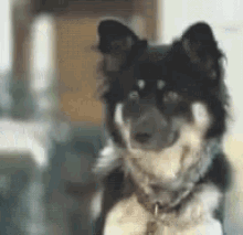 waiting gifs browse copy share for free