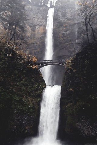 waterfall gif find share on giphy