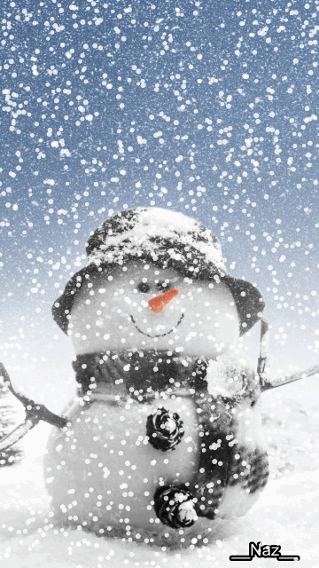 winter snowman pictures photos and images for facebook
