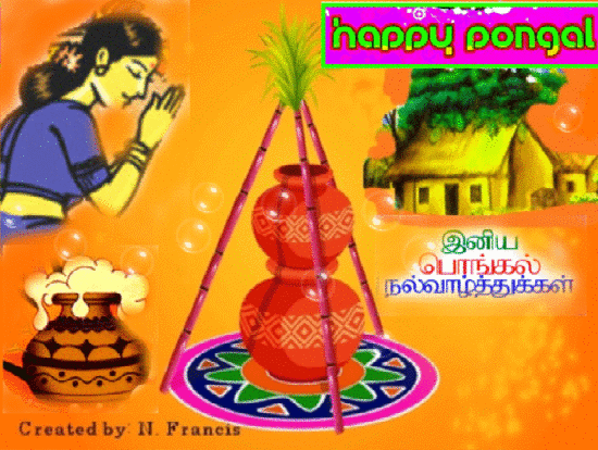 wishing all cheers and happiness free pongal ecards
