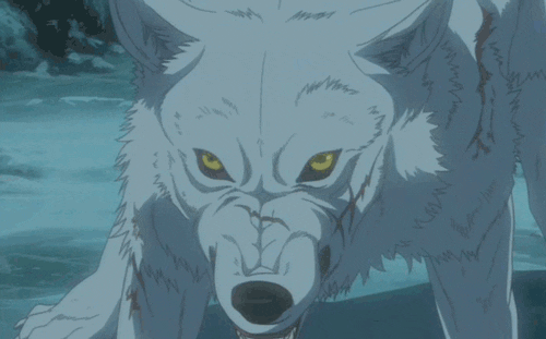 wolfs rain gifs find share on giphy