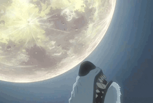 wolfs rain gifs on giphy