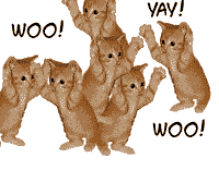 woo yay woo yay jumping kitties animated pictures