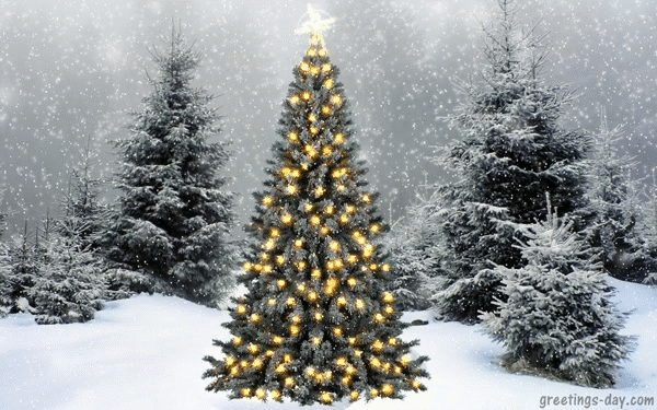 xmas ecards gifs and quotes