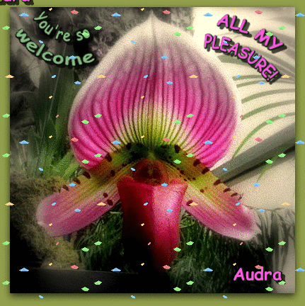 you re welcome animated by sugaree on deviantart