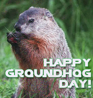 animated happy groundhog day quote pictures photos and images for