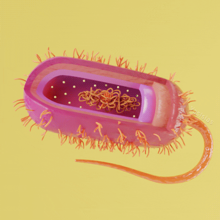 bacteria gifs find share on giphy