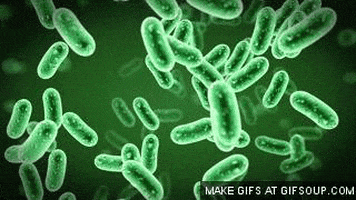 bacteria gifs get the best gif on giphy