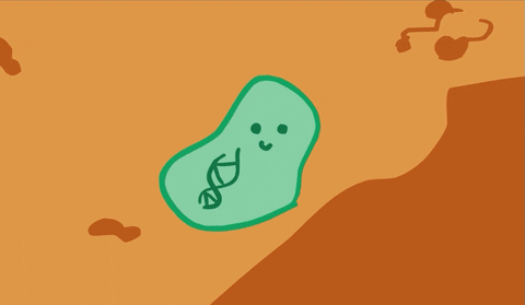 bacteria microbes gif by university of california find share on giphy