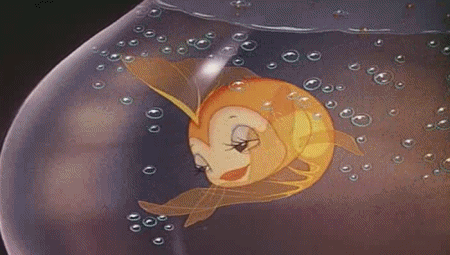 batting eyelashes gifs find share on giphy