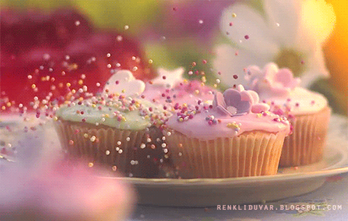 cupcake gif find share on giphy