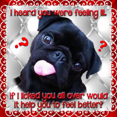 get well soon pug free get well soon ecards greeting cards