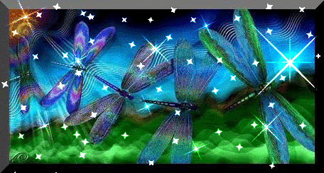 glitterflies see this animated gif on photobucket click to play
