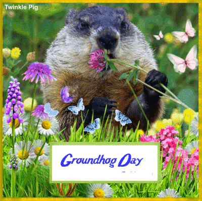 happy groundhog day picture blingee com