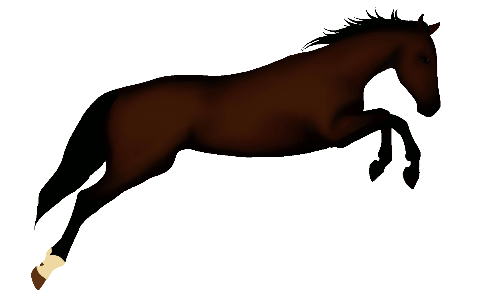 horse animated gif clipart best