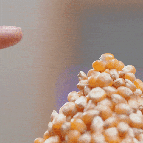 magic popping gif by metcalfe s skinny popcorn find share on giphy