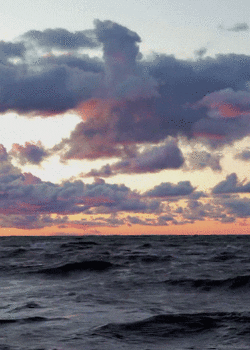 ocean gifs find share on giphy
