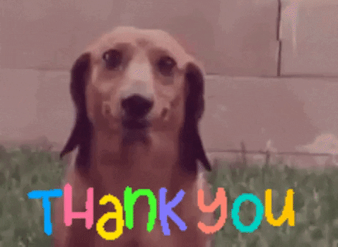 thank you gif primogif