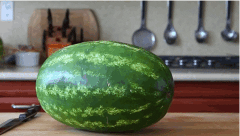 watermelon gif find share on giphy